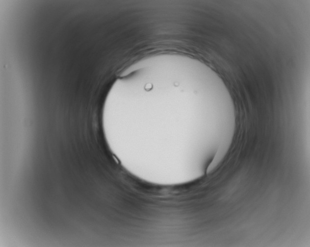 X0000113120562200910091139
