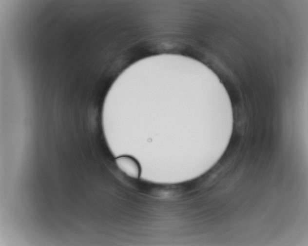 X0000113120563200910091139