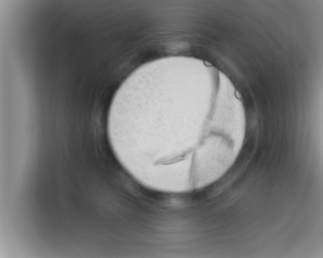 X0000113120565200910091139