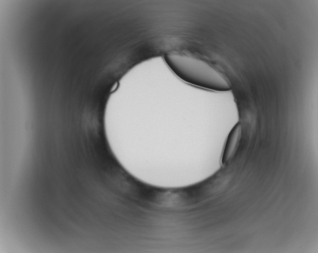 X0000113120566200910091139