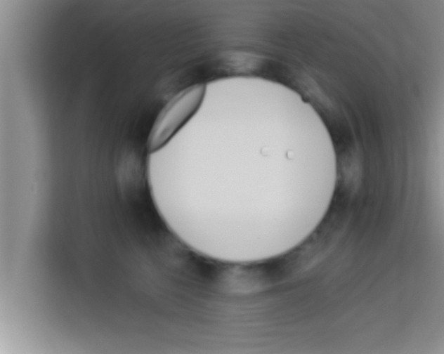 X0000113120568200910091139
