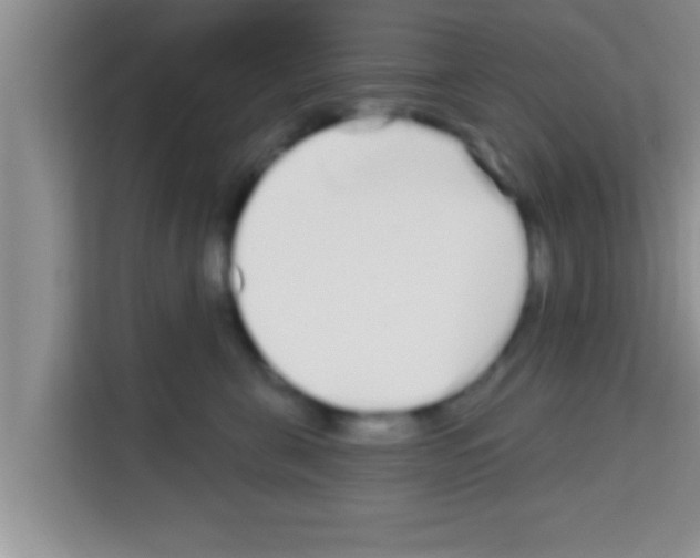 X0000113120571200910091139