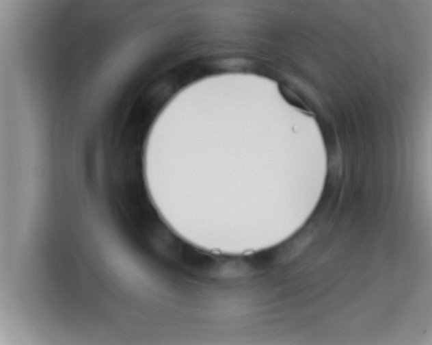 X0000113120572200910091139
