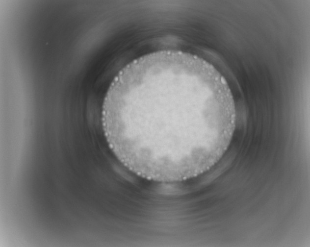 X0000113120573200910091139