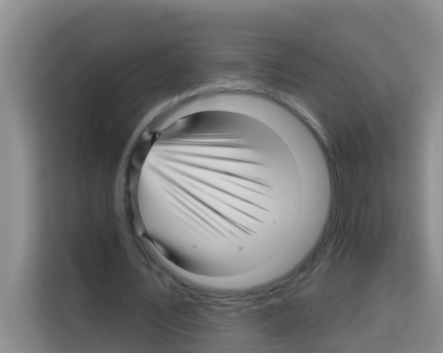 X0000113120579200910091139
