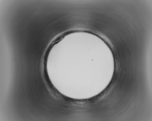 X0000113120580200910091139