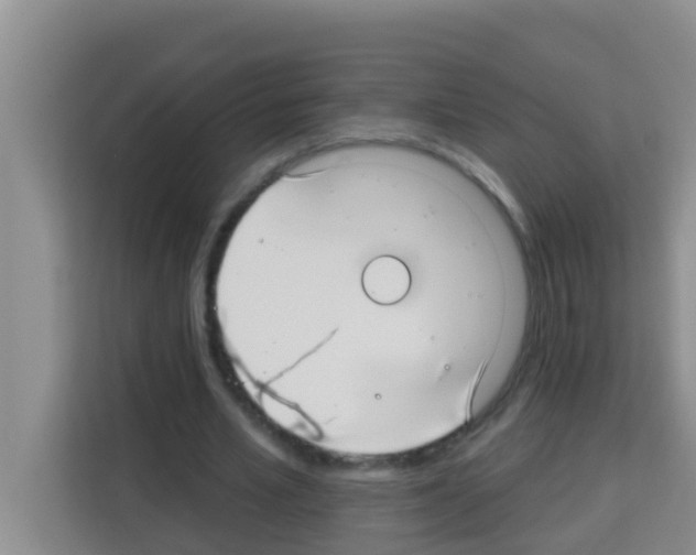X0000113120581200910091139