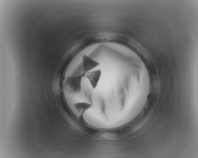 X0000113120585200910091138