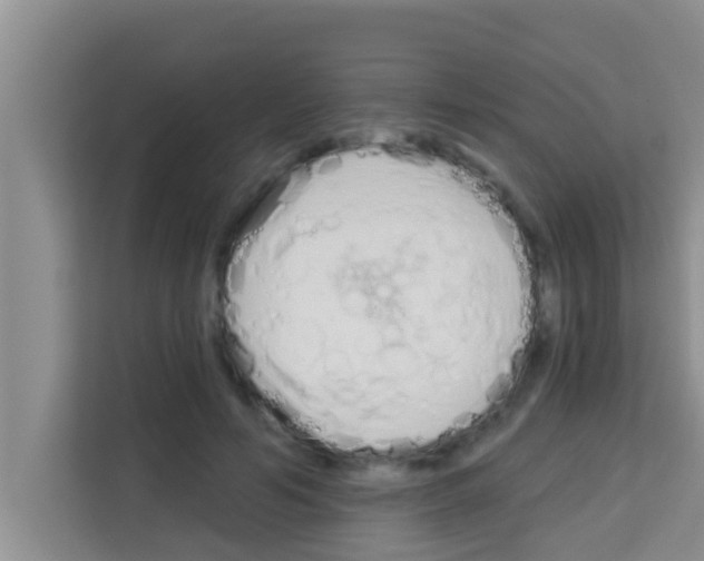 X0000113120594200910091138