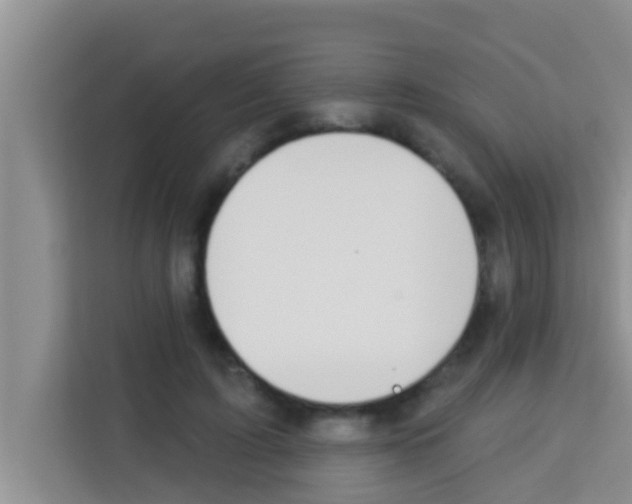 X0000113120595200910091138