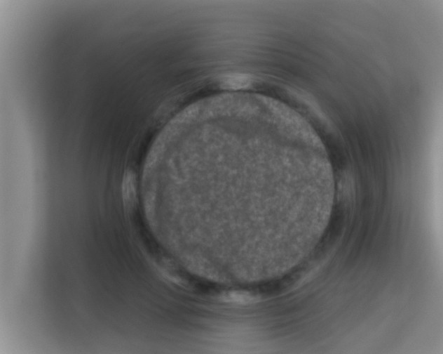 X0000113120598200910091138