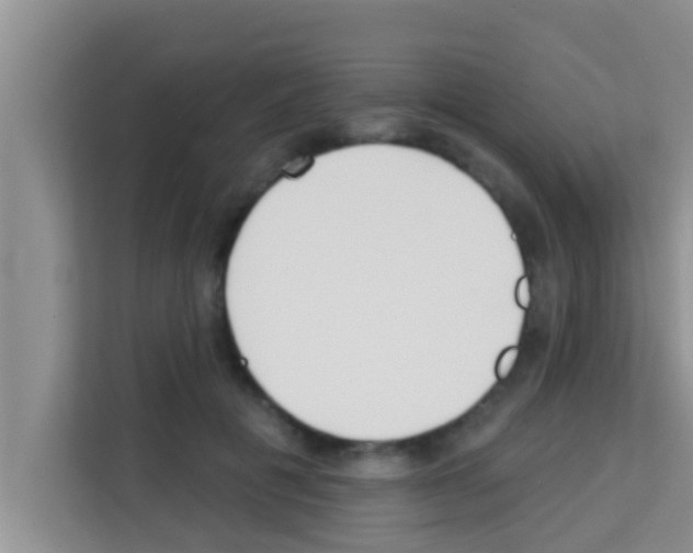 X0000113120601200910091138