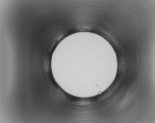 X0000113120604200910091138
