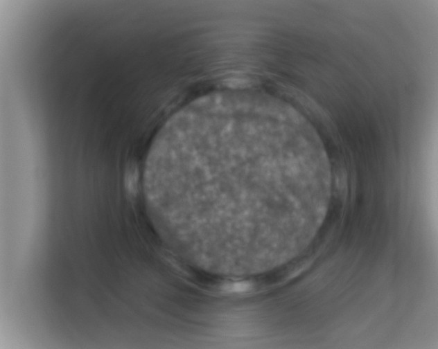 X0000113120610200910091138