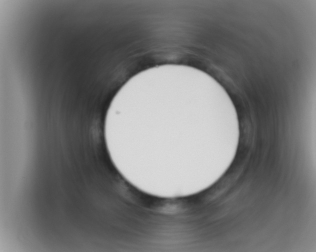 X0000113120612200910091138