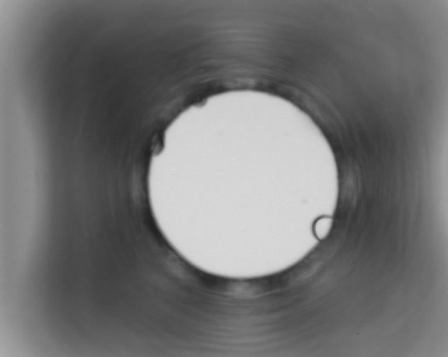 X0000113120616200910091138