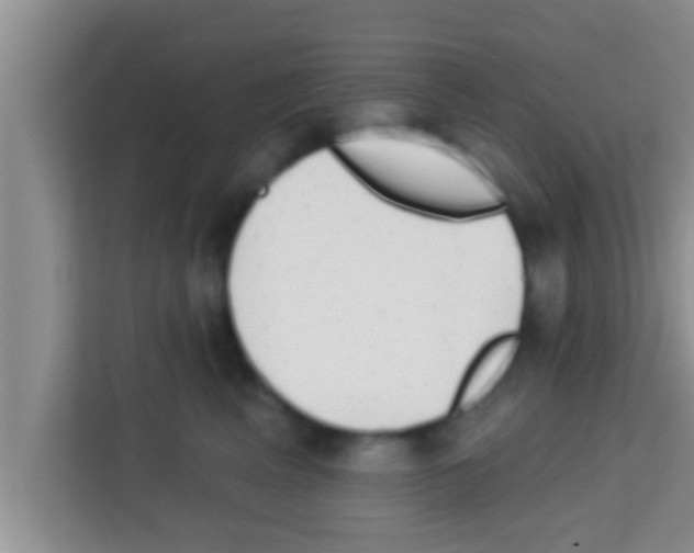 X0000113120617200910091138
