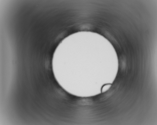 X0000113120619200910091138