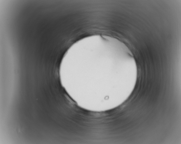 X0000113120621200910091138