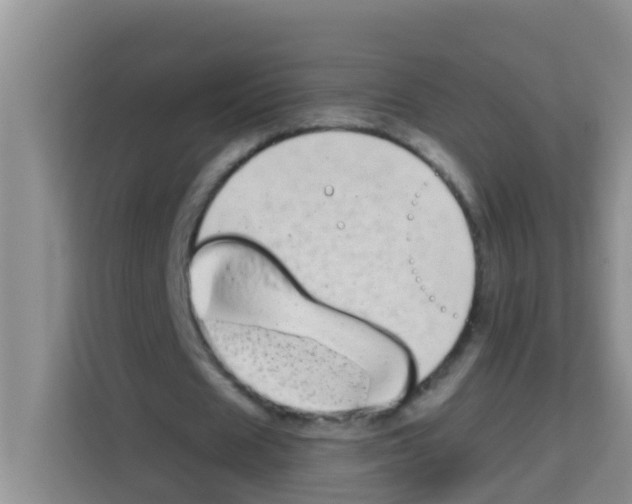 X0000113120625200910091137