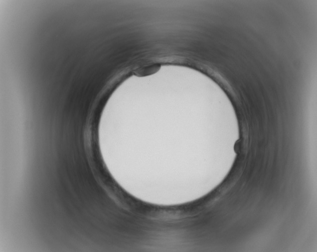 X0000113120626200910091137