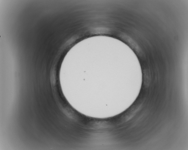 X0000113120631200910091137