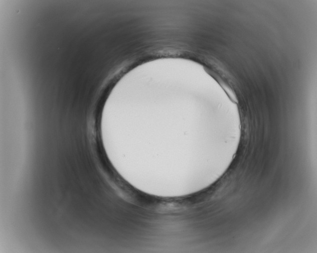 X0000113120634200910091137