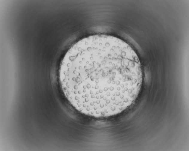 X0000113120635200910091137