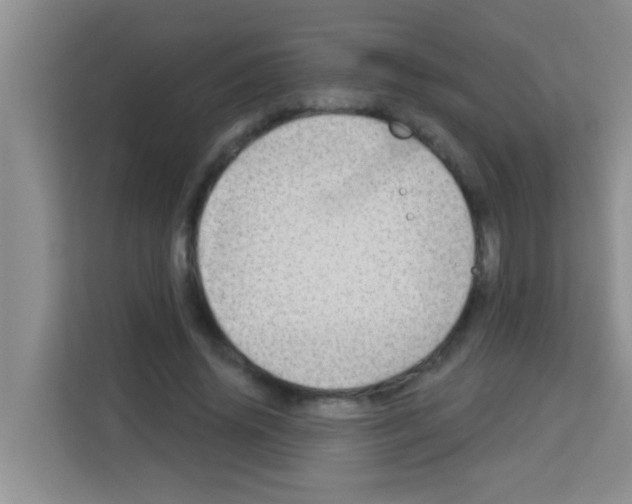 X0000113120636200910091137
