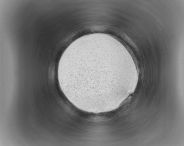 X0000113120637200910091138