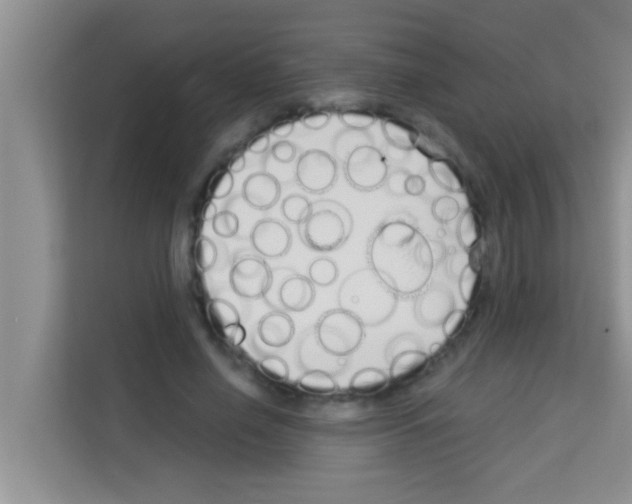 X0000113120638200910091138
