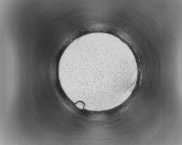 X0000113120642200910091138