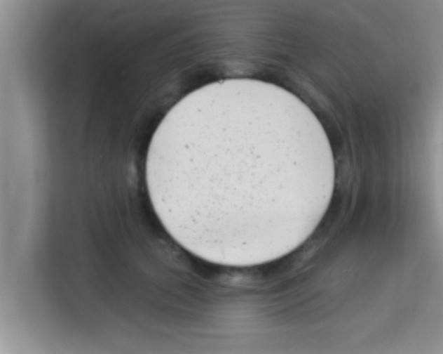 X0000113120655200910091138