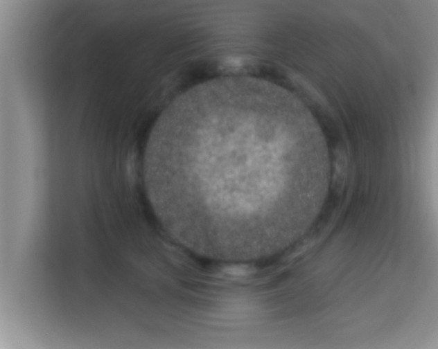 X0000113120659200910091138