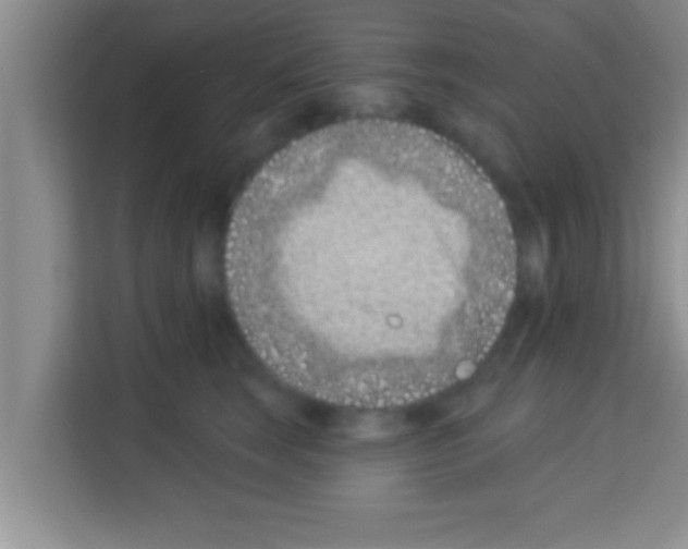 X0000113120663200910091138