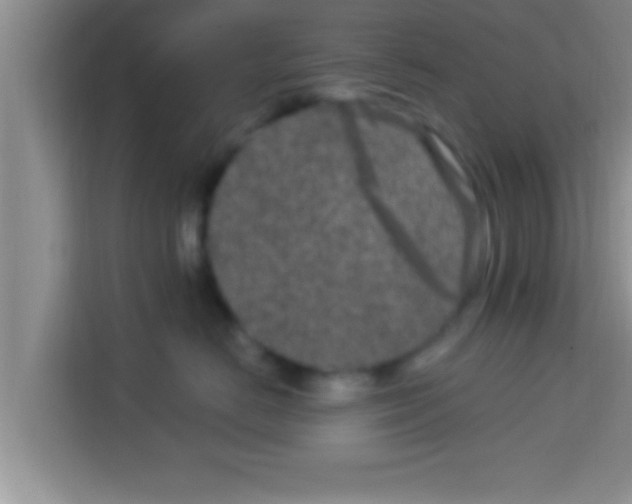 X0000113120670200910091138