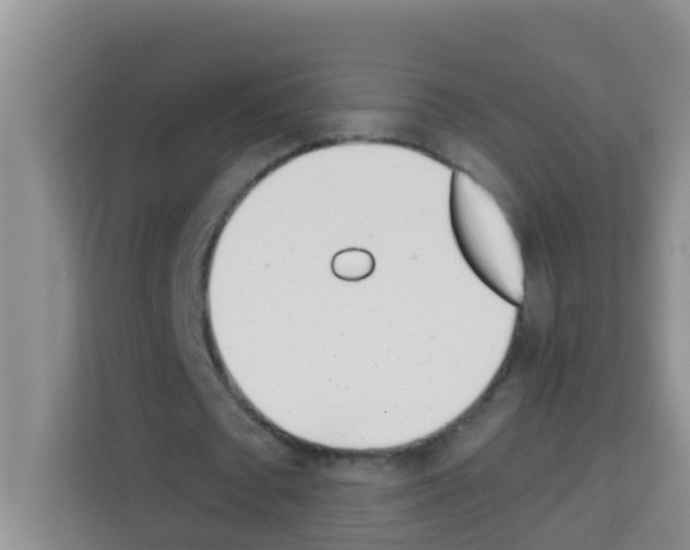 X0000113120673200910091137