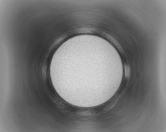 X0000113120675200910091137