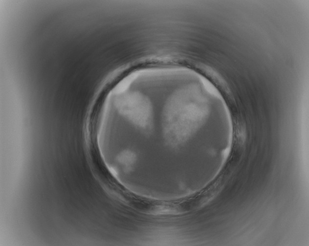 X0000113120678200910091137