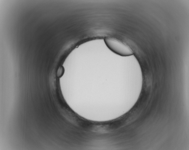 X0000113120680200910091137