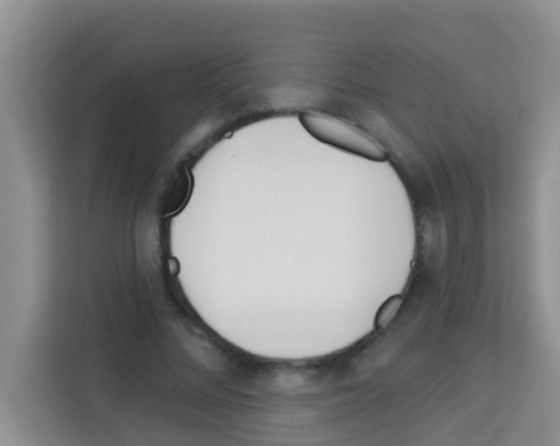 X0000113120684200910091137