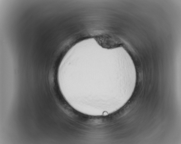 X0000113120687200910091137