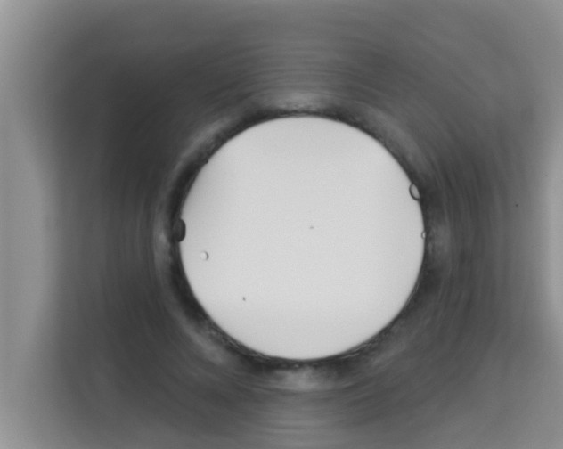 X0000113120688200910091137