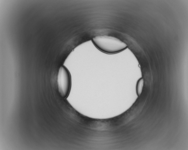 X0000113120697200910091137