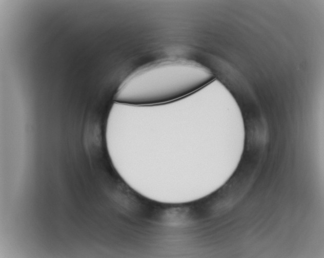 X0000113120700200910091137