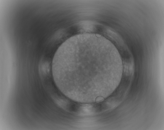 X0000113120701200910091137