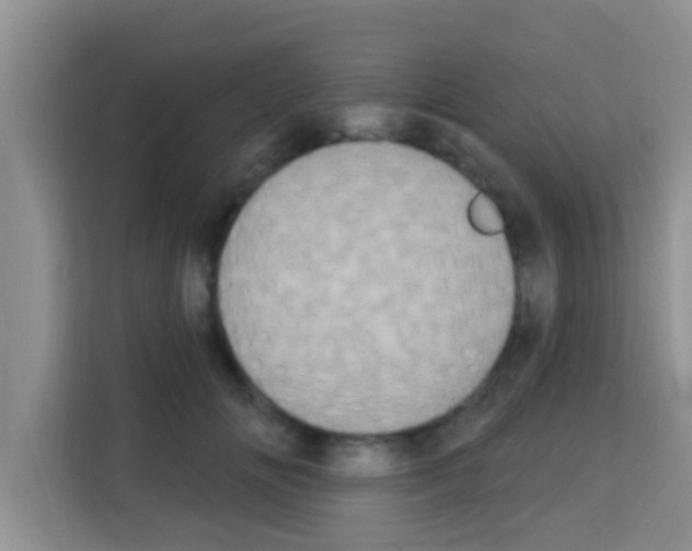 X0000113120702200910091137