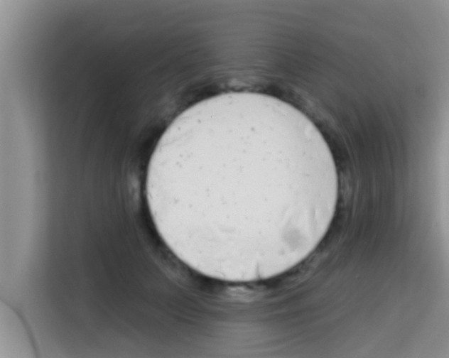 X0000113120703200910091137