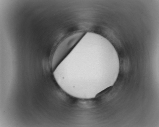X0000113120712200910091137