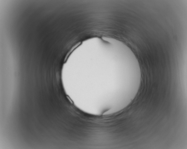X0000113120716200910091137
